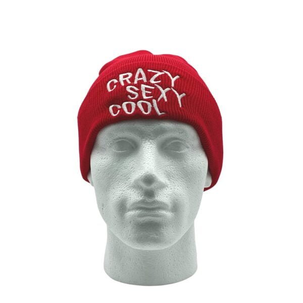 Adults Fashion Beanie Hat – Crazy Sexy Cool Hats