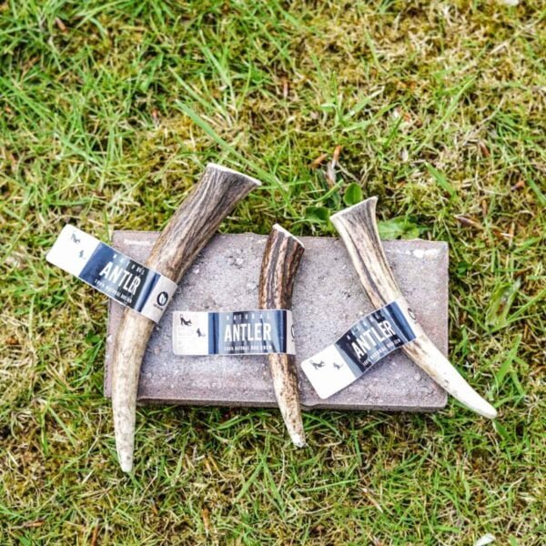 Eco Pet 100% Natural Premium Long Lasting Red Deer Elk Antler Dog Chew Toy Rich in Protein and Calcium – Small – Medium – Large