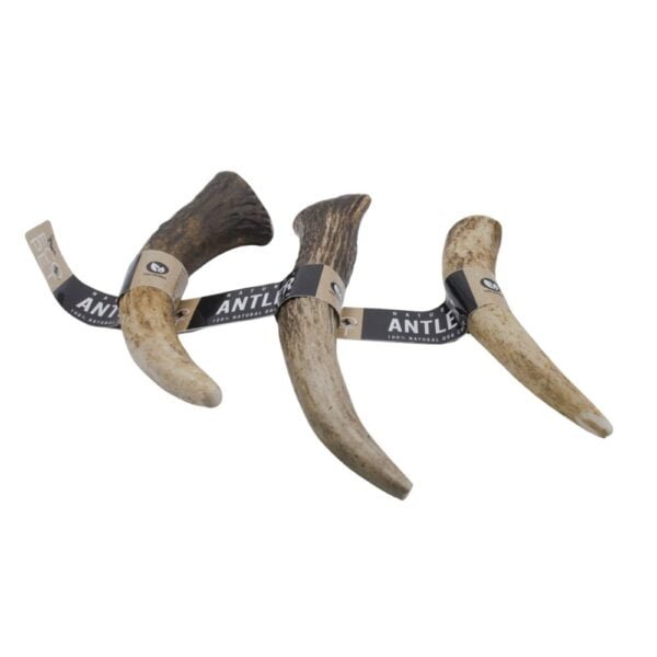 Eco Pet 100% Natural Premium Long Lasting Red Deer Elk Antler Dog Chew Toy Rich in Protein and Calcium – Small – Medium – Large